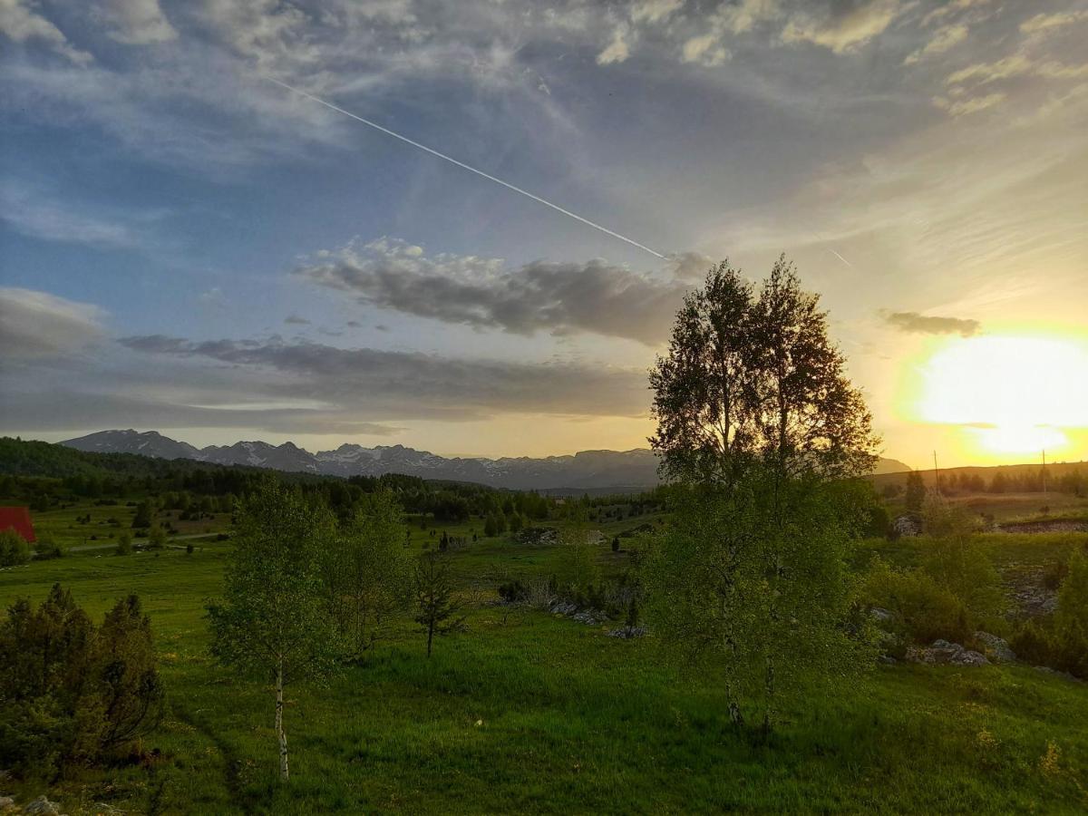 Villa Breza Žabljak Екстериор снимка
